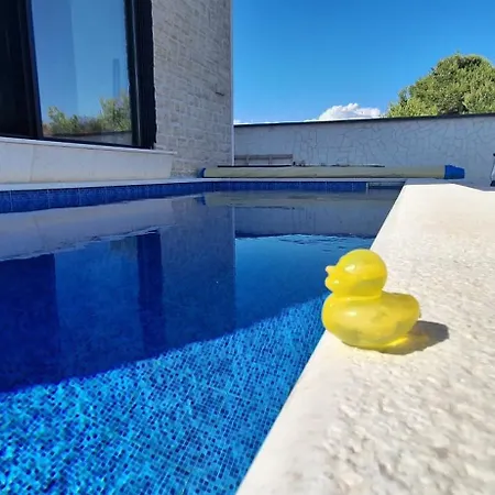 Mit Pool Ilija Villa Vir